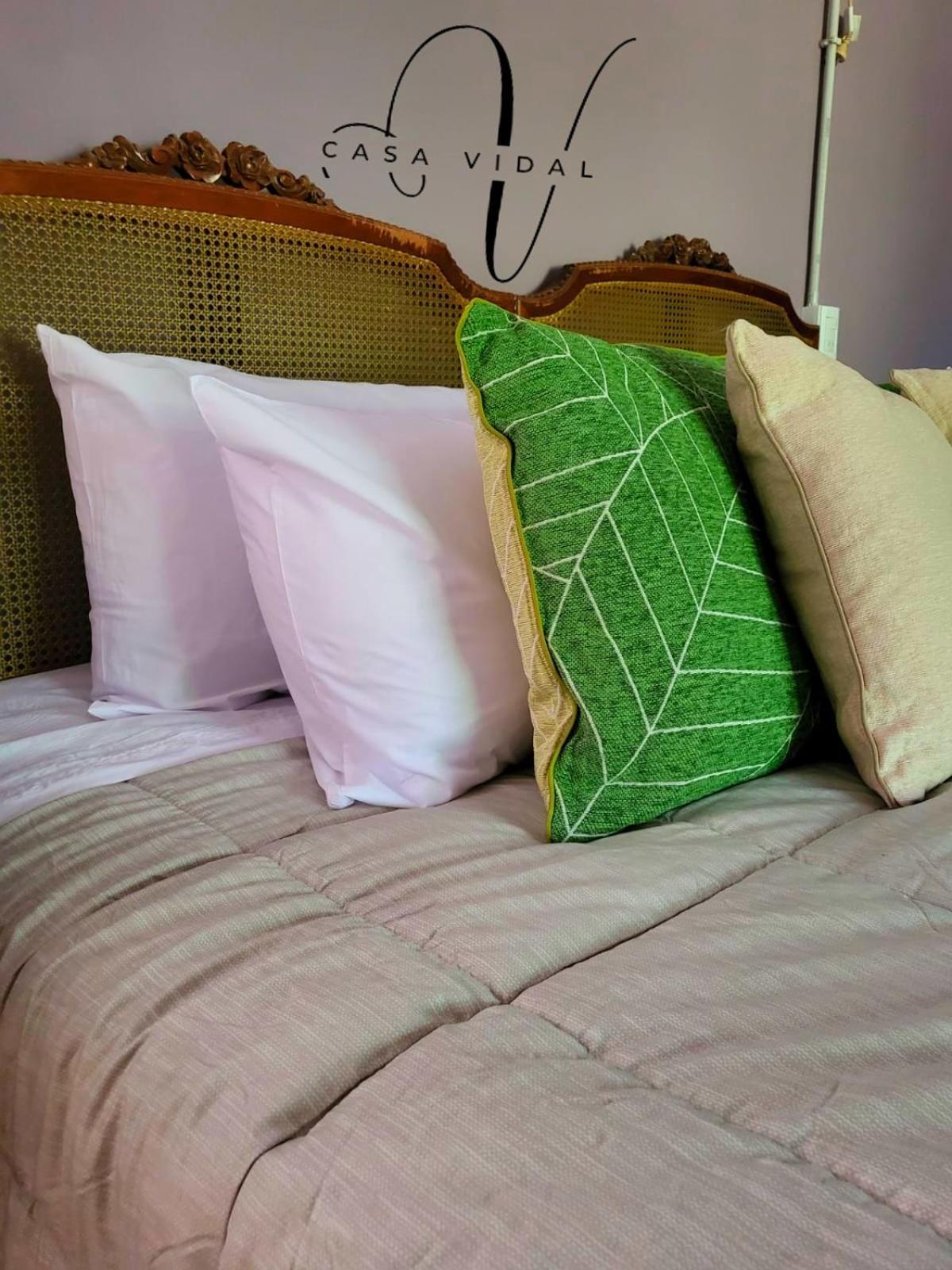 Casa Vidal Guesthouse Tupungato Buitenkant foto